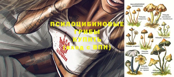 героин Алзамай